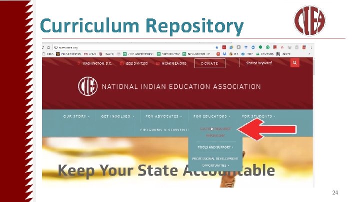 Curriculum Repository 24 