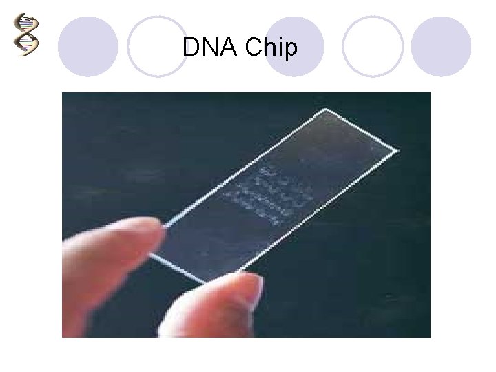 DNA Chip 