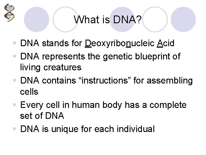 What is DNA? § DNA stands for Deoxyribonucleic Acid § DNA represents the genetic