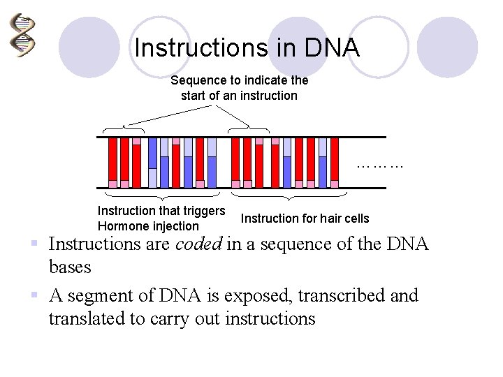 Instructions in DNA Sequence to indicate the start of an instruction ……… Instruction that