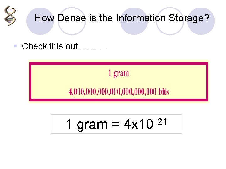 How Dense is the Information Storage? § Check this out………. . 1 gram =