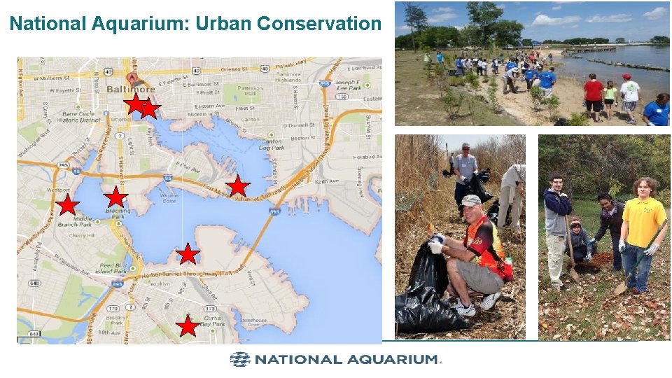 National Aquarium: Urban Conservation 