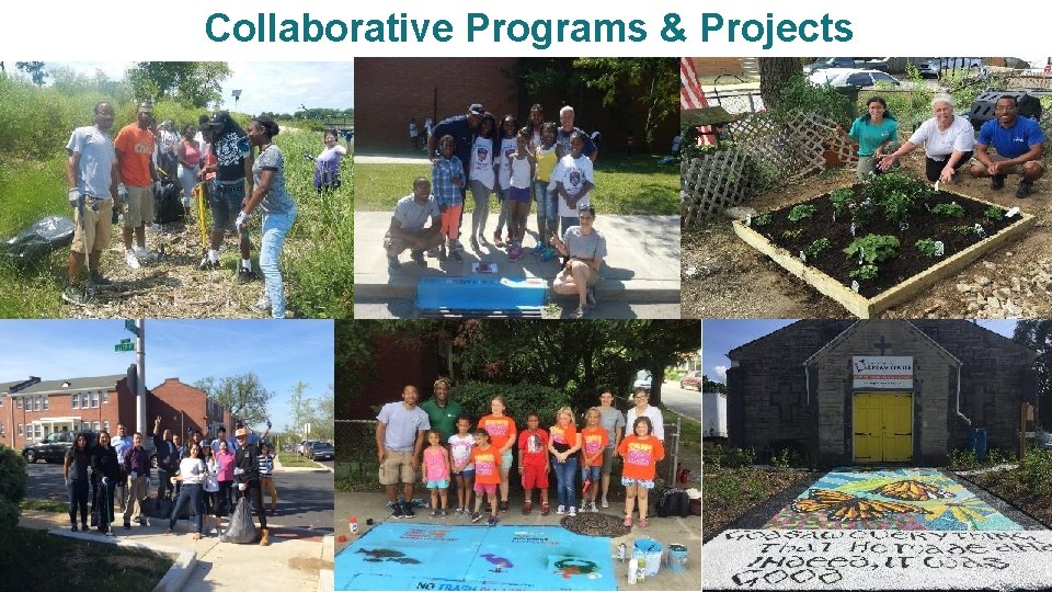 Collaborative Programs & Projects 