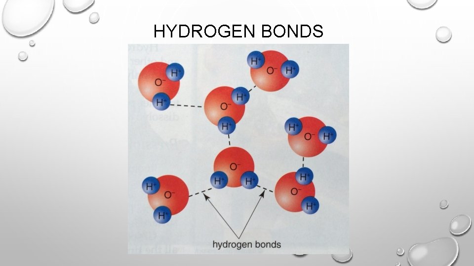 HYDROGEN BONDS 