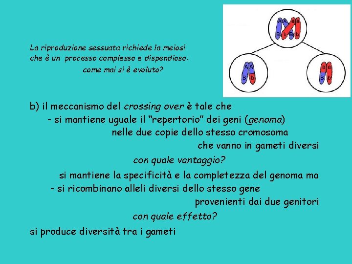 La riproduzione sessuata richiede la meiosi che è un processo complesso e dispendioso: come