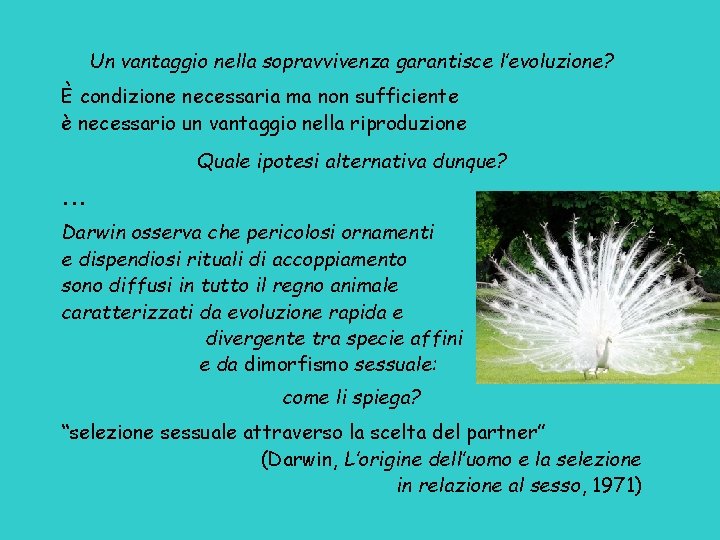 Un vantaggio nella sopravvivenza garantisce l’evoluzione? È condizione necessaria ma non sufficiente è necessario