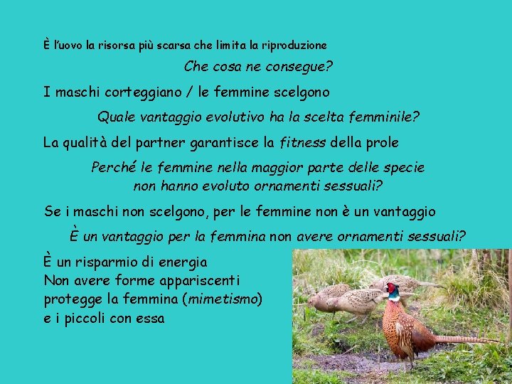 È l’uovo la risorsa più scarsa che limita la riproduzione Che cosa ne consegue?