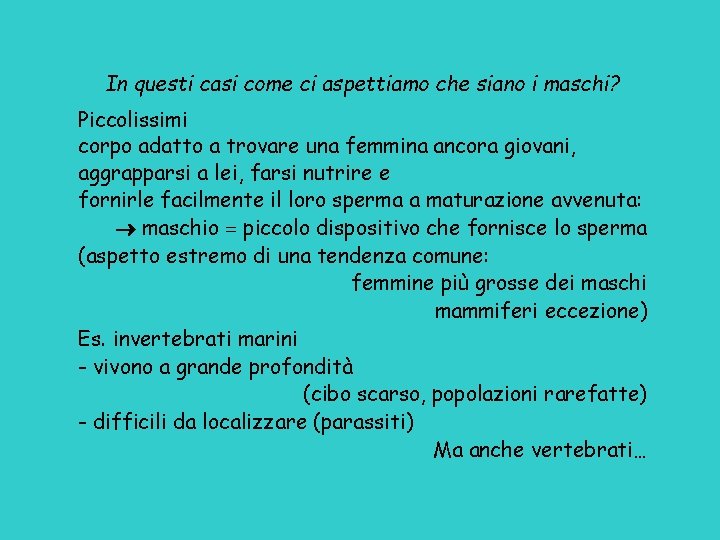 In questi casi come ci aspettiamo che siano i maschi? Piccolissimi corpo adatto a