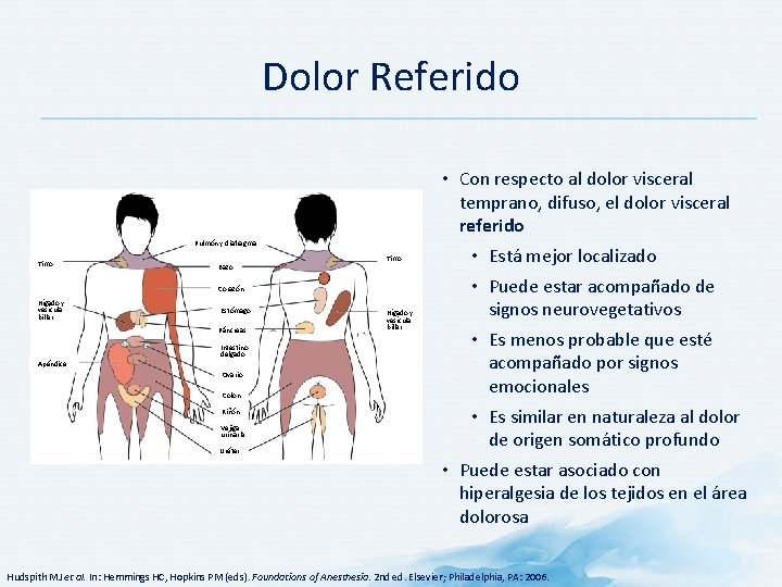 Dolor Referido Pulmón y diafragma Timo Bazo Timo Corazón Hígado y vesícula biliar Estómago