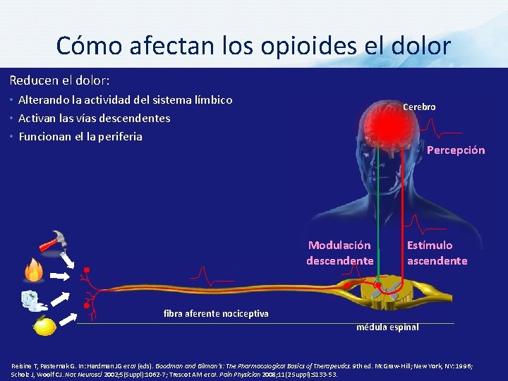 Cómo afectan los opioides el dolor Reducen el dolor: • Alterando la actividad del