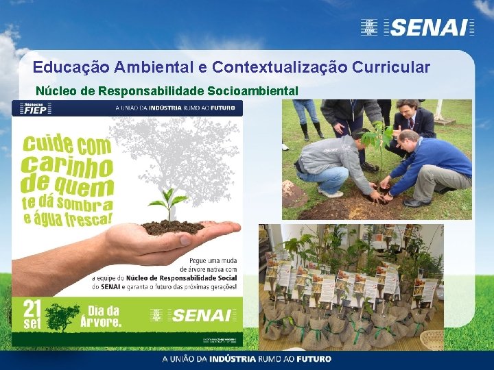 Educação Ambiental e Contextualização Curricular Núcleo de Responsabilidade Socioambiental 