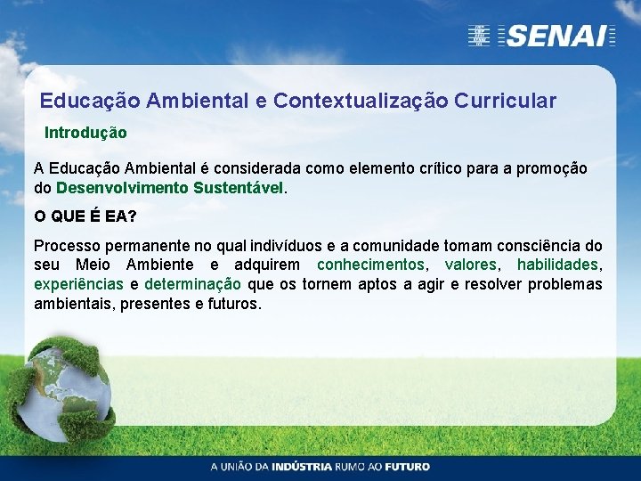 Educação Ambiental e Contextualização Curricular Introdução A Educação Ambiental é considerada como elemento crítico