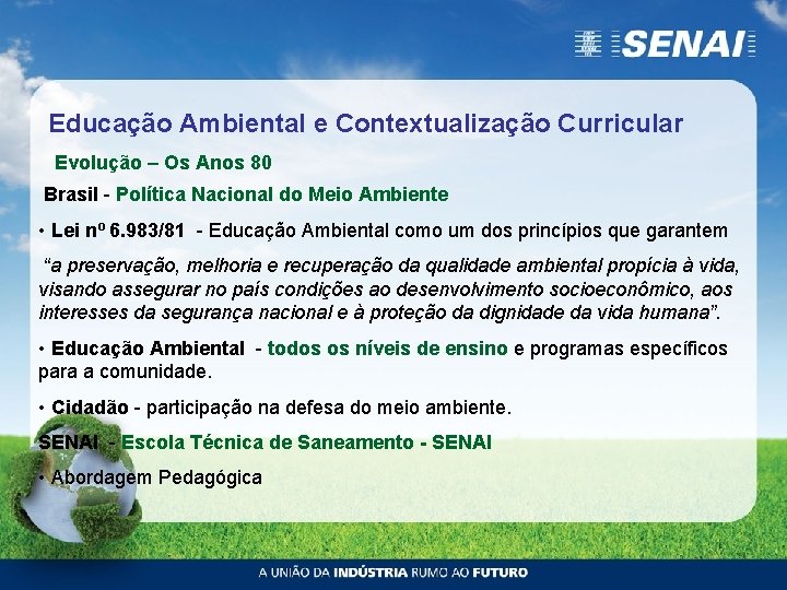 Educação Ambiental e Contextualização Curricular Evolução – Os Anos 80 Brasil - Política Nacional