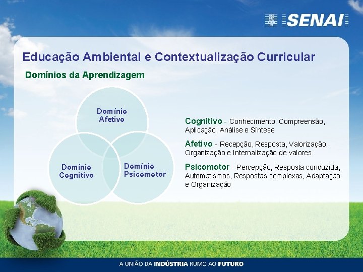 Educação Ambiental e Contextualização Curricular Domínios da Aprendizagem Domínio Afetivo Cognitivo - Conhecimento, Compreensão,