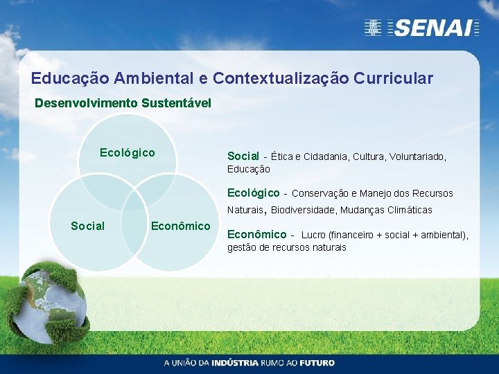 Educação Ambiental e Contextualização Curricular Desenvolvimento Sustentável Ecológico Social - Ética e Cidadania, Cultura,