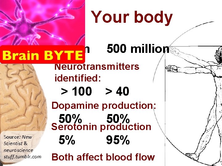 Your brain Your body Neurons: 85 billion 500 million Neurotransmitters identified: > 100 >