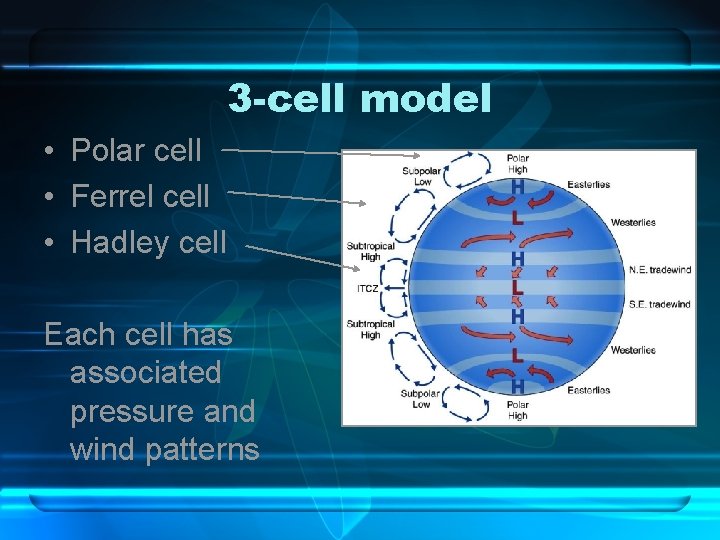 3 -cell model • Polar cell • Ferrel cell • Hadley cell Each cell