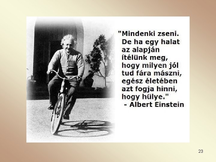 23 
