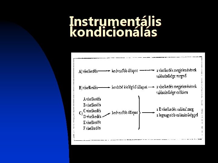 Instrumentális kondicionálás Instrumentális kondicionálás