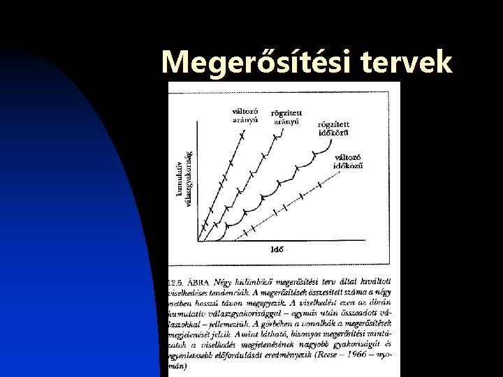 Megerősítési tervek Megerősítési tervek