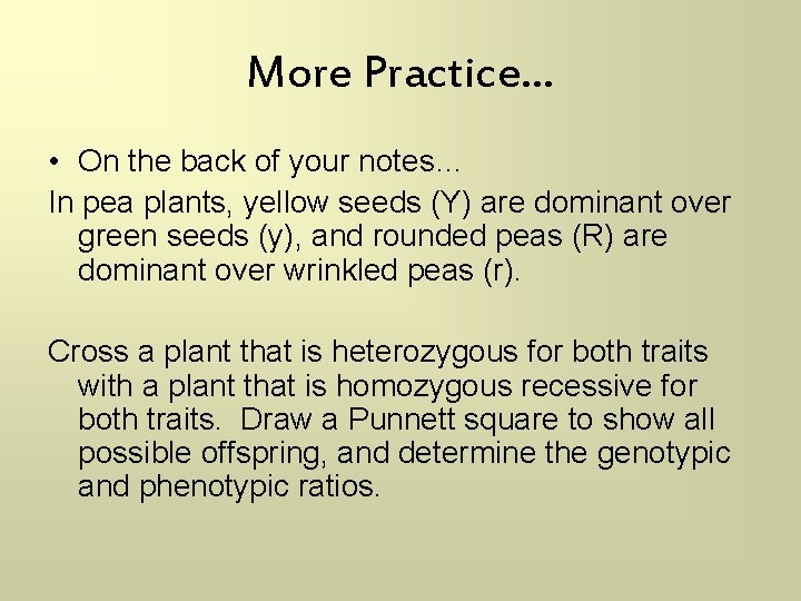 More Practice… • On the back of your notes… In pea plants, yellow seeds