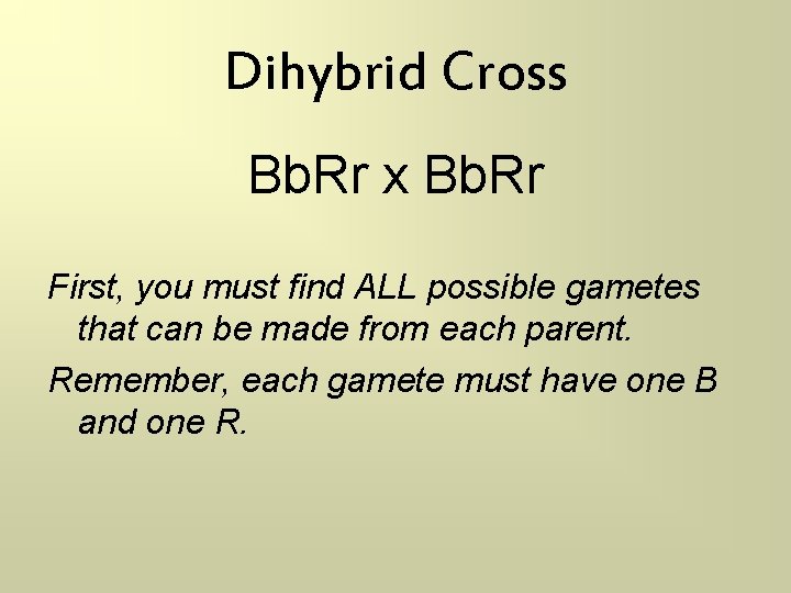 Dihybrid Cross Bb. Rr x Bb. Rr First, you must find ALL possible gametes