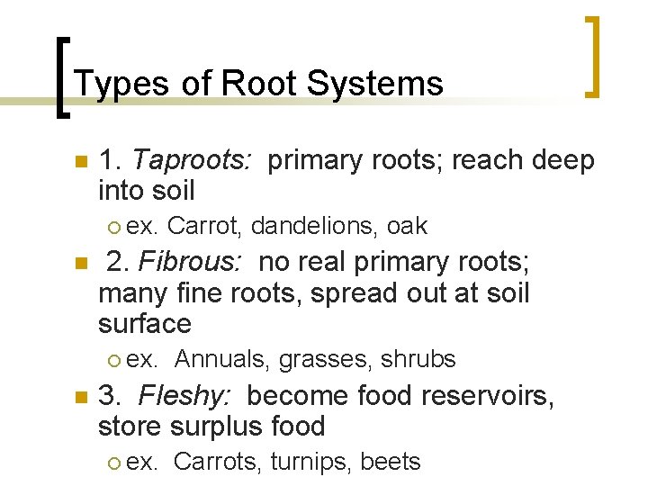 Types of Root Systems n 1. Taproots: primary roots; reach deep into soil ¡