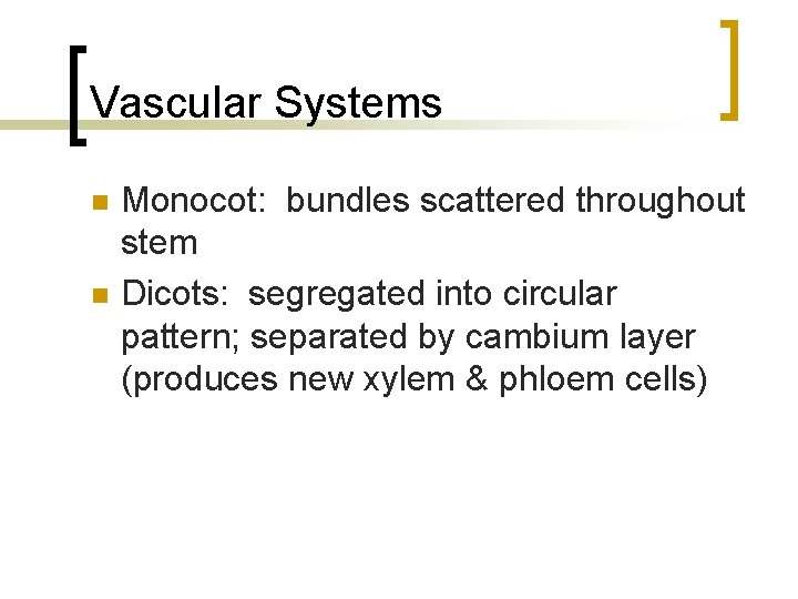 Vascular Systems n n Monocot: bundles scattered throughout stem Dicots: segregated into circular pattern;