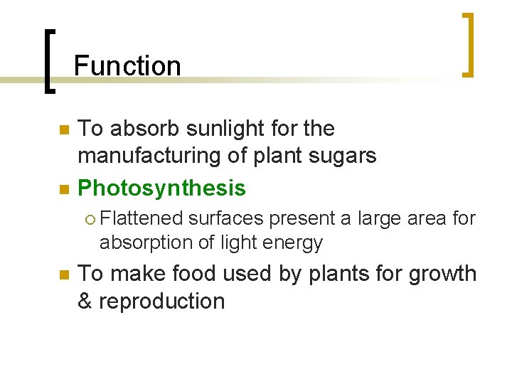  Function n n To absorb sunlight for the manufacturing of plant sugars Photosynthesis