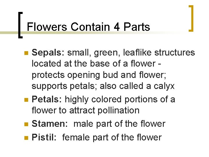  Flowers Contain 4 Parts n n Sepals: small, green, leaflike structures located at