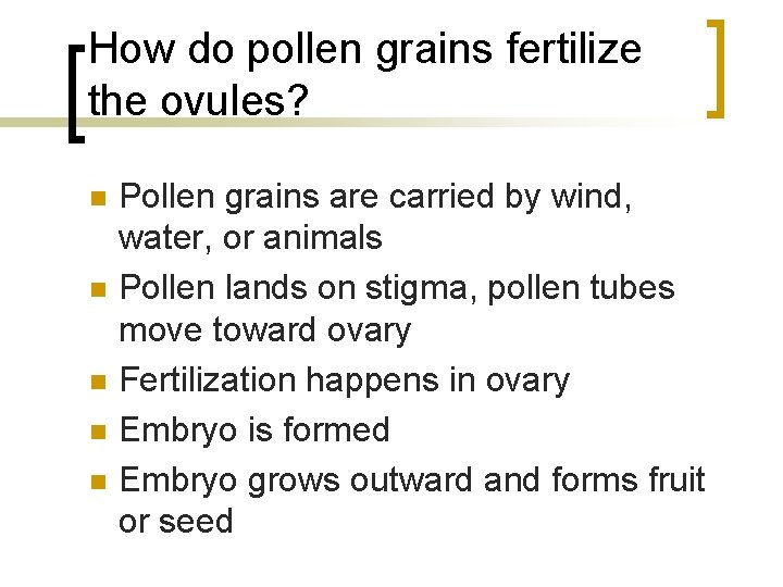 How do pollen grains fertilize the ovules? n n n Pollen grains are carried