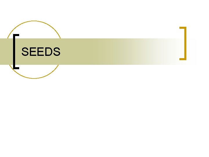 SEEDS 
