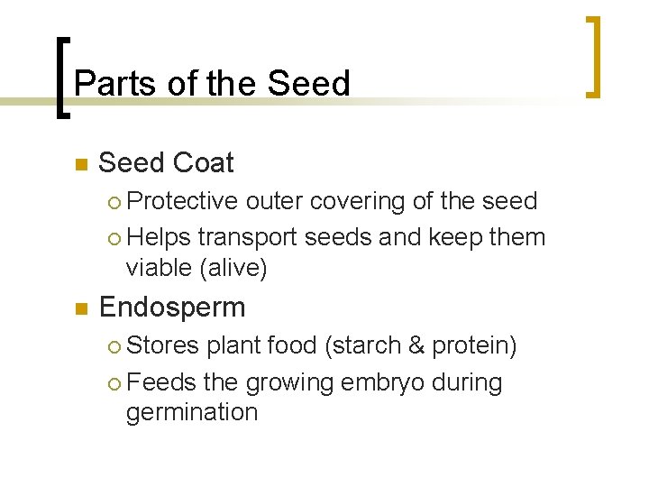 Parts of the Seed n Seed Coat Protective outer covering of the seed ¡