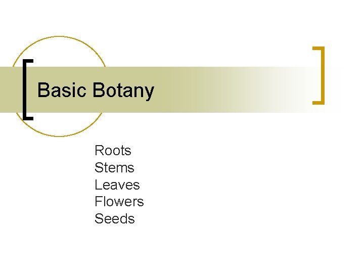 Basic Botany Roots Stems Leaves Flowers Seeds 