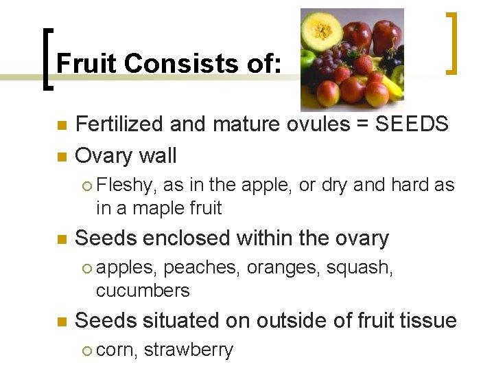 Fruit Consists of: n n Fertilized and mature ovules = SEEDS Ovary wall ¡
