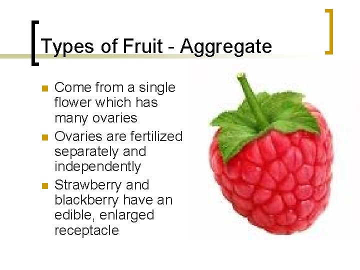 Types of Fruit - Aggregate n n n Come from a single flower which