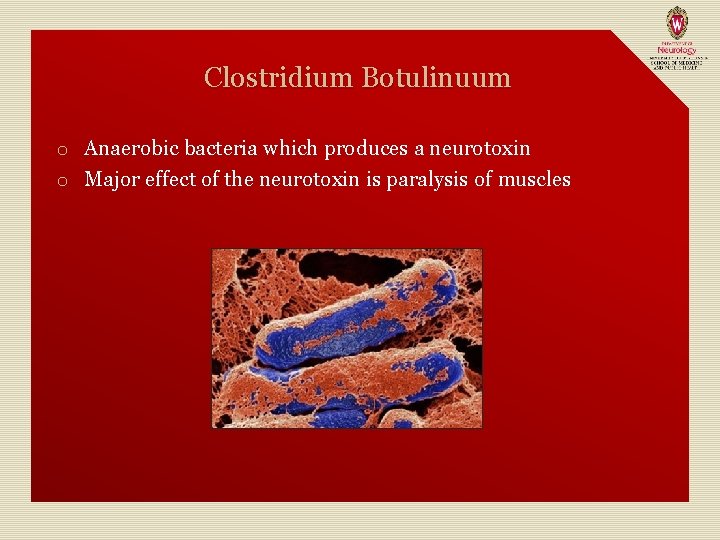 Clostridium Botulinuum o Anaerobic bacteria which produces a neurotoxin o Major effect of the