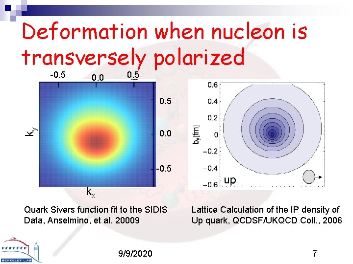 Deformation when nucleon is transversely polarized -0. 5 0. 0 0. 5 ky 0.