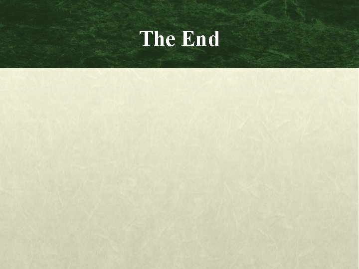 The End 