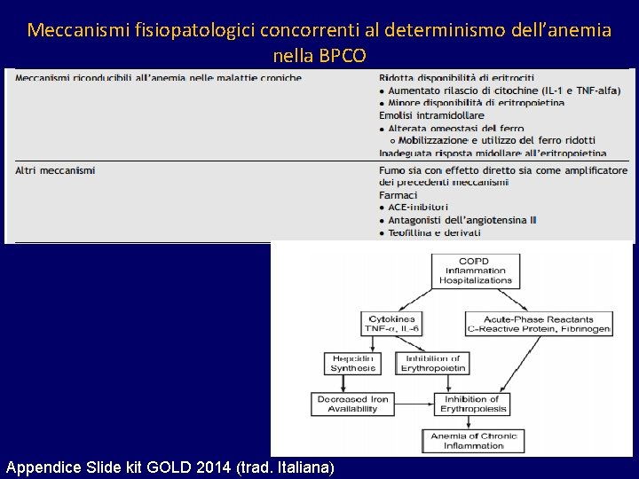 Meccanismi fisiopatologici concorrenti al determinismo dell’anemia nella BPCO Appendice Slide kit GOLD 2014 (trad.