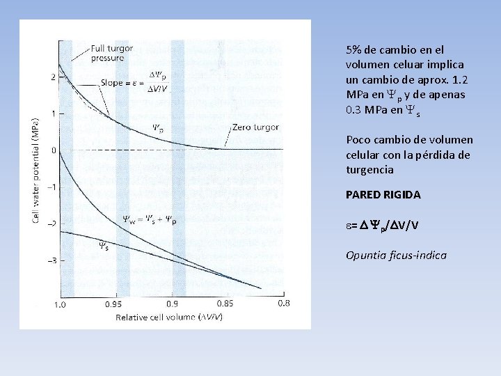 5% de cambio en el volumen celuar implica un cambio de aprox. 1. 2
