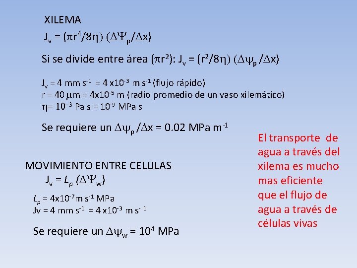 XILEMA Jv = (pr 4/8 h) (DYp/Dx) Si se divide entre área (pr 2):