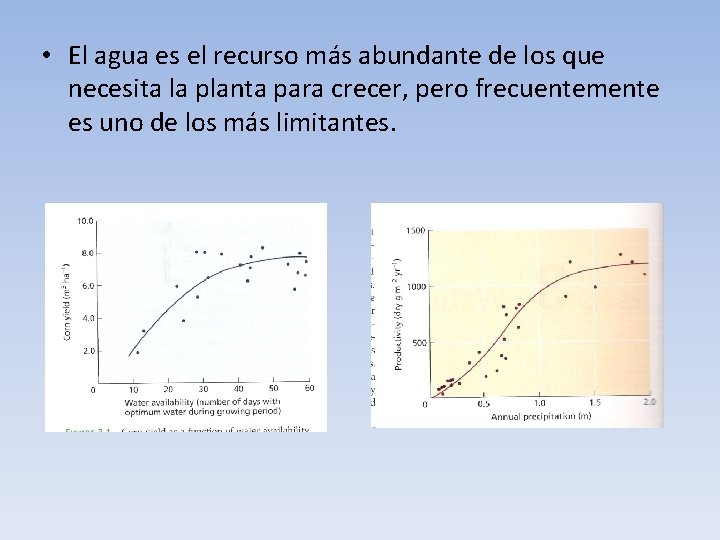  • El agua es el recurso más abundante de los que necesita la