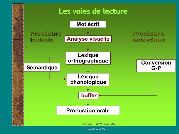 formation AVS 