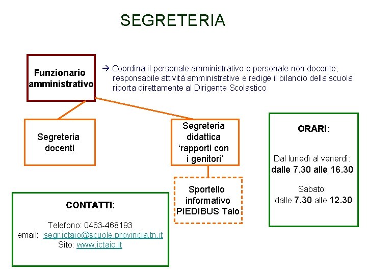 SEGRETERIA Funzionario amministrativo Coordina il personale amministrativo e personale non docente, responsabile attività amministrative