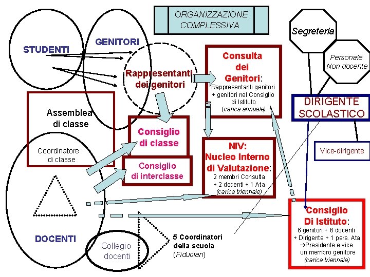 ORGANIZZAZIONE COMPLESSIVA STUDENTI Segreteria GENITORI Rappresentanti dei genitori Assemblea di classe Consiglio di classe