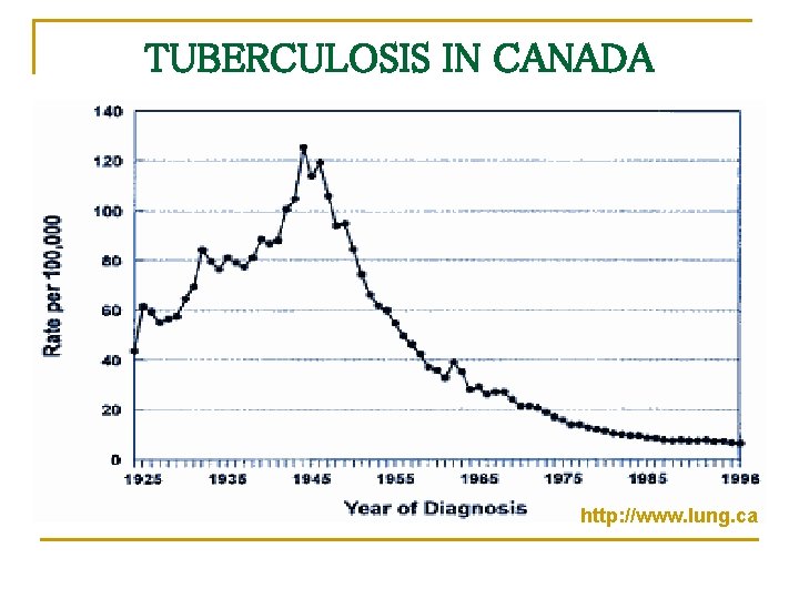 TUBERCULOSIS IN CANADA http: //www. lung. ca 