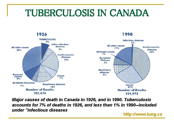 TUBERCULOSIS IN CANADA Major causes of death in Canada in 1926, and in 1990.