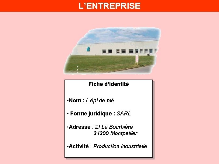 L’ENTREPRISE Fiche d’identité • Nom : L’épi de blé • Forme juridique : SARL