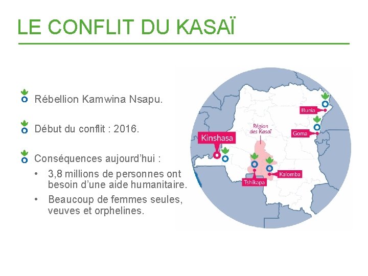 LE CONFLIT DU KASAÏ Rébellion Kamwina Nsapu. Début du conflit : 2016. Conséquences aujourd’hui